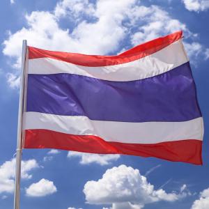 タイ王国 国旗 旗 60×85cm Lサイズ ...の詳細画像3
