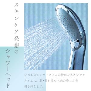 シャワーヘッド ボリーナ ニンファ マイクロ ...の詳細画像1