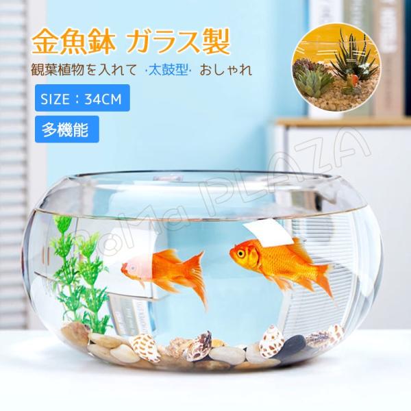 34cm 金魚鉢 ガラス製 透明 丸 鉢 和風 可愛い ミニ水槽 おしゃれ 多機能 観葉植物を入れて...