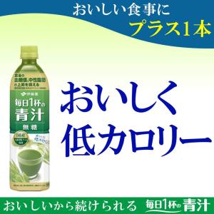 伊藤園 毎日1杯の青汁 無糖 900g12本 ...の詳細画像2