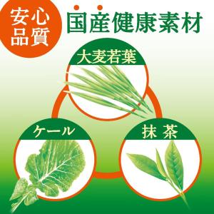 伊藤園 毎日1杯の青汁 無糖 900g12本 ...の詳細画像4
