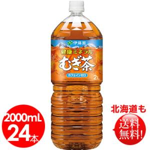 水素水H2 伊藤園 水素水 ボトル缶310ml 1ケース24本セット 送料無料 高