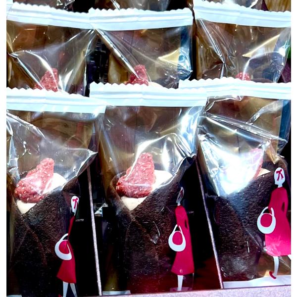 AUDREY オードリーグレイシア チョコレート 8本入り　お土産 贈り物 ラングドシャ 　クッキー...