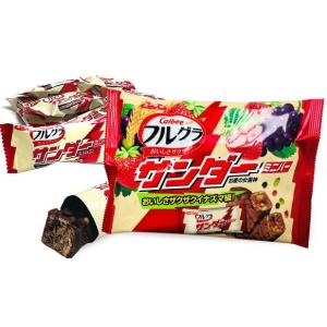 フルグラサンダー ミニバー 134g×2袋 スナック菓子 お菓子 チョコレート 板チョコ チョコバー スイーツ