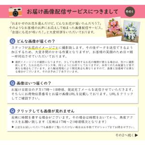 誕生日 卒業 お祝い 花 ギフト バースデー ...の詳細画像4