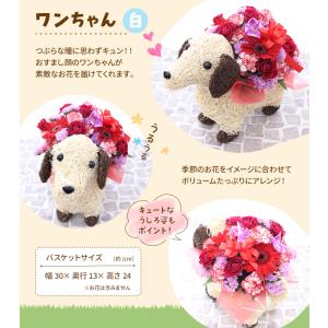 動物とお花のイメージが選べる【アニマルバスケッ...の詳細画像3