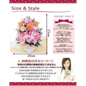 遅れてごめんね 敬老の日 花 生花 ギフト プ...の詳細画像3