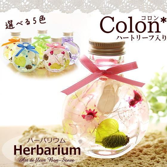 ハーバリウム Herbarium ≪コロン≫ ハートリーフ入り 植物標本 ギフト プリザーブドフラワ...