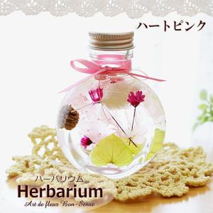 ハーバリウム Herbarium ≪コロン≫ ...の詳細画像2