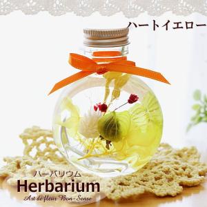 ハーバリウム Herbarium ≪コロン≫ ...の詳細画像3