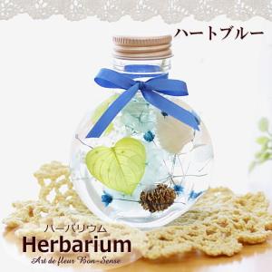 ハーバリウム Herbarium ≪コロン≫ ...の詳細画像4