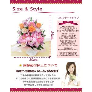 遅れてごめんね 敬老の日 花 ギフト プレゼン...の詳細画像2