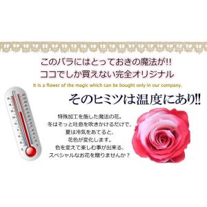 ガラスドーム ぬいぐるみと花 誕生日の花 色が...の詳細画像5