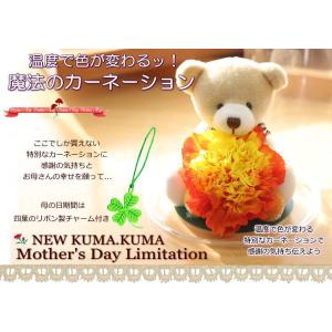 母の日 色が変わる魔法のカーネーション バラ ...の詳細画像2