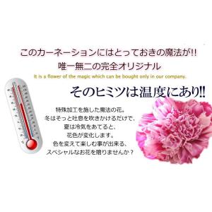 母の日 色が変わる魔法のカーネーション バラ ...の詳細画像3