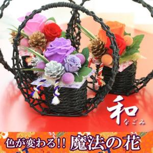 和風 プリザーブドフラワー 色が変わる 魔法のバラ  （なごみ和） 敬老の日 [プリザーブドフラワー]