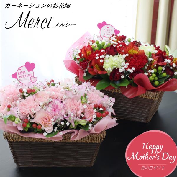母の日 花 2026 カーネーション アレンジメント 生花 バラ カスミソウ かすみそう ギフト  ...
