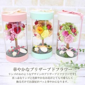母の日 2026 プリザーブドフラワー トピア...の詳細画像2
