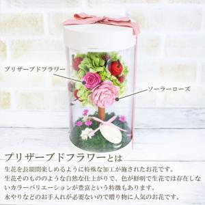 母の日 2026 プリザーブドフラワー トピア...の詳細画像3