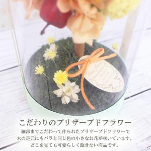 母の日 2026 プリザーブドフラワー トピア...の詳細画像5