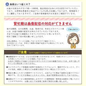お彼岸 お供え お悔やみ 花 お花 初盆 生花...の詳細画像5