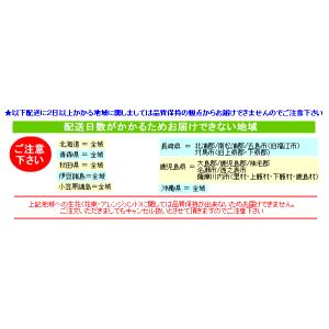 お供え お悔み お盆 花 フラワーアレンジメン...の詳細画像3