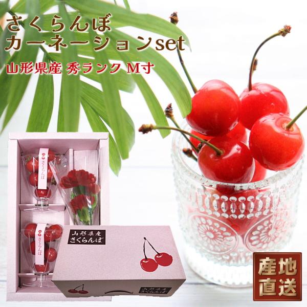 早割 母の日 2026 山形 産直 さくらんぼ と カーネーション 佐藤錦 または 紅秀峰  特秀 ...