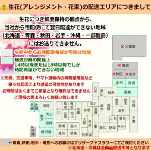 ひまわりいっぱいアレンジ 夏 プレゼント ギフ...の詳細画像5