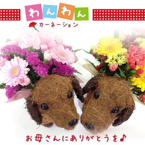 母の日 早割 わんわんッ♪フラワー カーネーション 生花 アレンジメント プレゼント 花 2026 ...