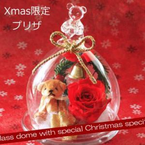 クリスマス限定ギフト 送料無料 ちびクマXmasバージョン  [プリザーブドフラワー]｜bon-sense