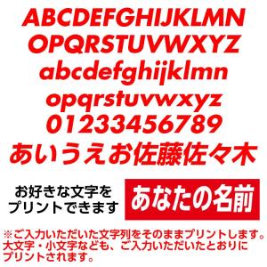 ボックスロゴ Tシャツ シュプリーム 好き必見...の詳細画像2