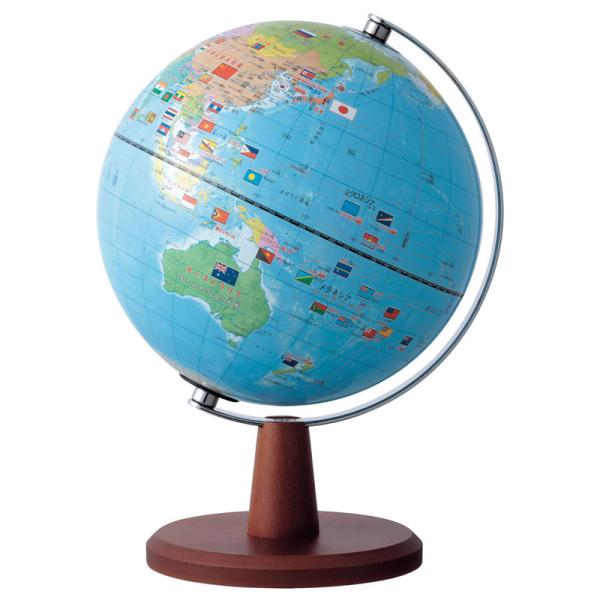 レイメイ藤井 Raymay 国旗・よみがな付地球儀 20cm OYV221