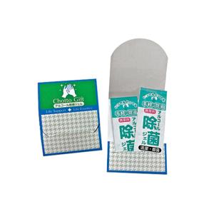 ちょっとギフト 除菌ジェル2P J-A2