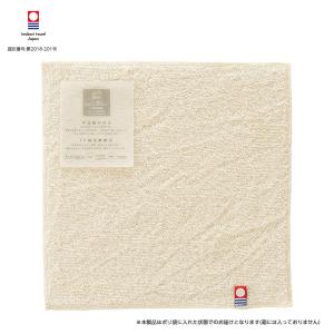 今治タオル エコ加工 タオルハンカチ E-303...の商品画像