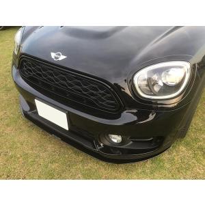 AMSECHS アムゼックス アンダーブレース センター MINI ミニ（F54・F57