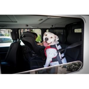 sleepypod Clickit Terrain Lサイズ　 クリキット テレイン　ペット　犬　ハ...