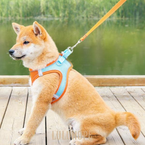 犬 ハーネス リード付 ロック機能付 メッシュ  ウェアハーネス ペット 服 胴輪 キャット ドッグ