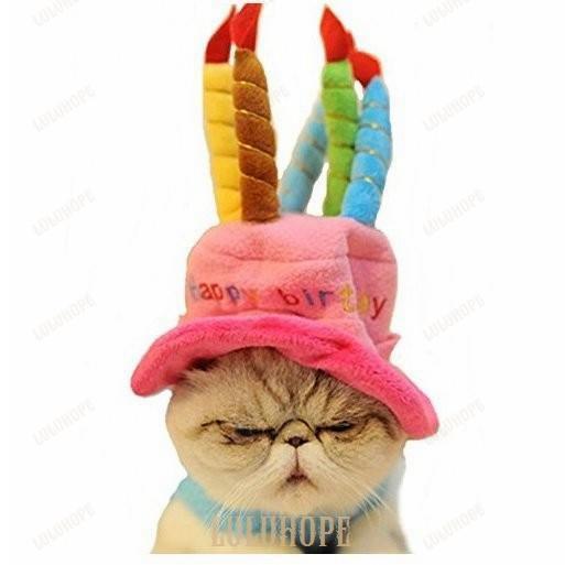 ペット帽子 小型犬 猫 お誕生日 プレゼント バースデー 記念日 ろうそく ケーキ型 ハット  小動...