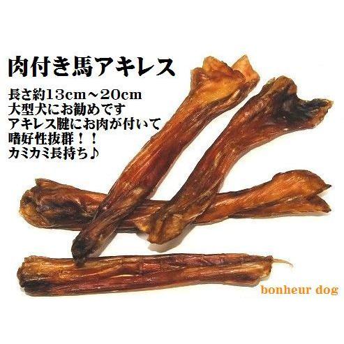 無添加 肉付き馬アキレス 1kg 送料無料 犬用 おやつ アキレス ガム ドッグフード 歯みがき 中...