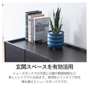 下駄箱 シューズボックス 完成品 日本製 ロー...の詳細画像4