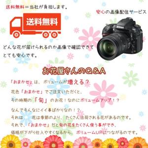 季節の花タップリのおまかせフラワーアレンジメント♪の詳細画像3