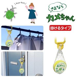 さよならカメちゃん 掛けタイプ【ポスト投函送料無料】