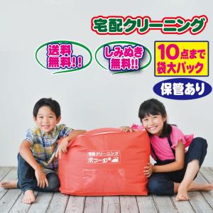 クリーニング 保管 詰め放題 10点袋大（ブロガーさん推薦）衣替え