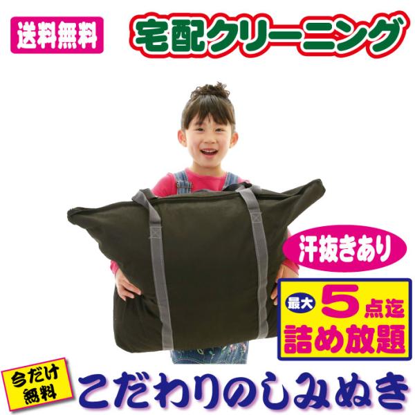 クリーニング 宅配 詰め放題 最大５点迄 汗抜きつき！ 今だけしみぬき無料！！（送料無料）５点迄 汗...