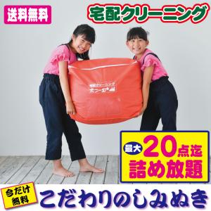 クリーニング 宅配 詰め放題 20点まで（ブロガーさん推薦）衣替え 今だけ有料しみぬきも無料（送料無料）