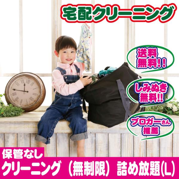 クリーニング 宅配 詰め放題 枚数制限無し（Ｌ）