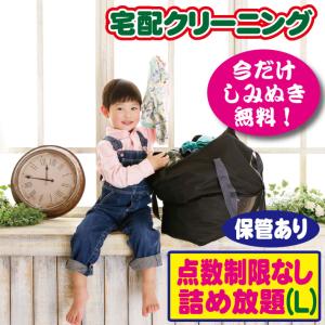 クリーニング 保管 無制限詰め放題L（ブロガーさん推薦）衣替え 今だけ有料しみぬきも無料（送料無料）