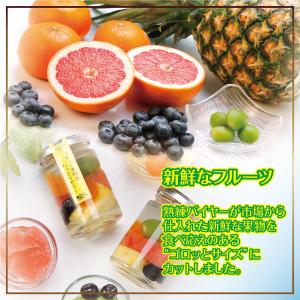 夏ギフト お中元 スイーツ ギフト ゼリー ゼ...の詳細画像2