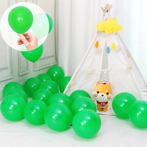 Sekat 風船 バルーン グリーン 5インチ 50個入り ゴム 極厚 丸風船 ラテックスバルーン ...