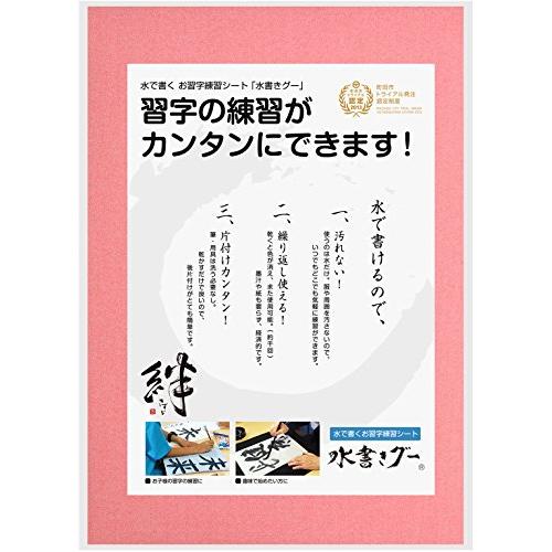 木と字の神林 水書き書道セット 水書きグー 半紙サイズ シートタイプ 赤 S-HS-R